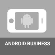 Google Play Business App Icon